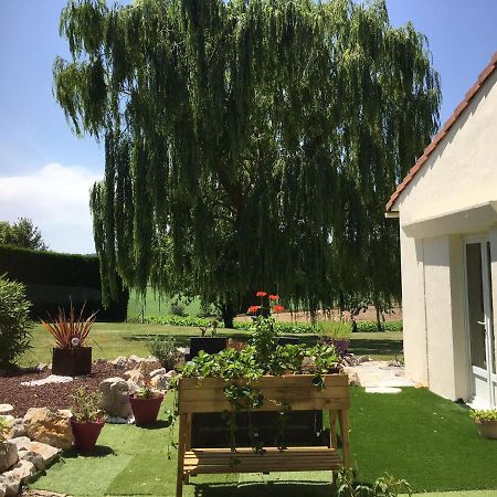 Bed and Breakfast Domaine De La Vigne Cadalen Exterior foto