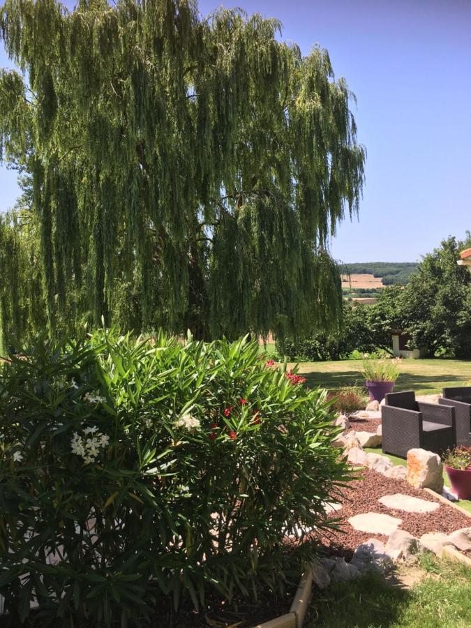 Bed and Breakfast Domaine De La Vigne Cadalen Exterior foto