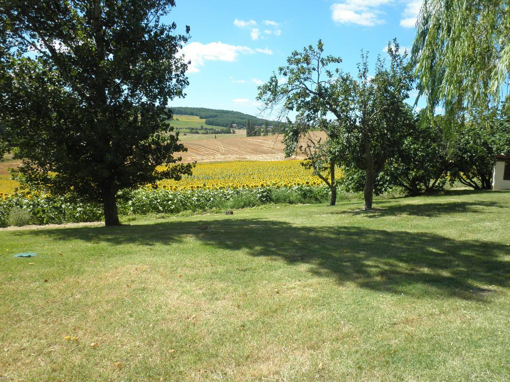 Bed and Breakfast Domaine De La Vigne Cadalen Exterior foto