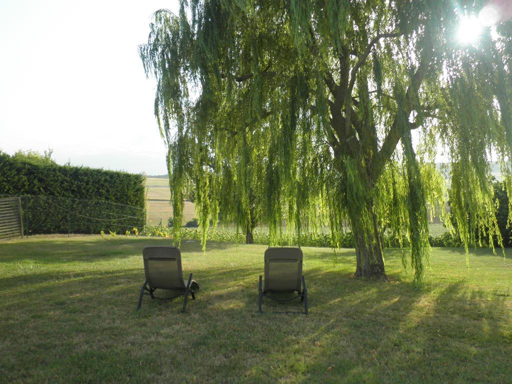 Bed and Breakfast Domaine De La Vigne Cadalen Exterior foto