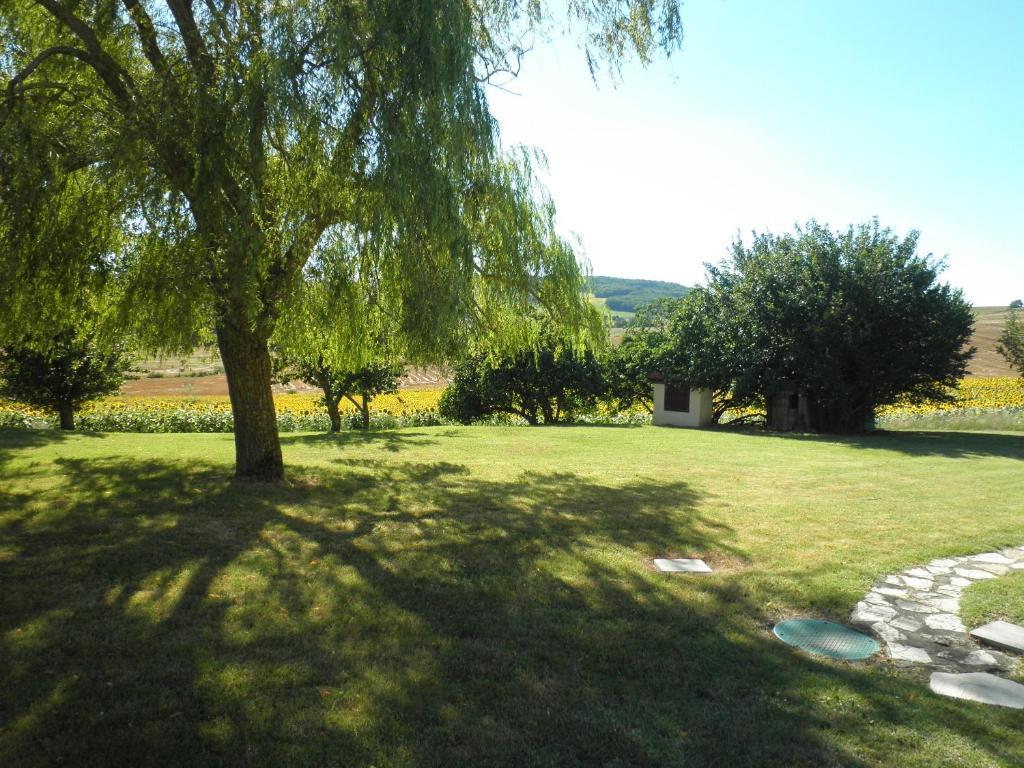 Bed and Breakfast Domaine De La Vigne Cadalen Exterior foto